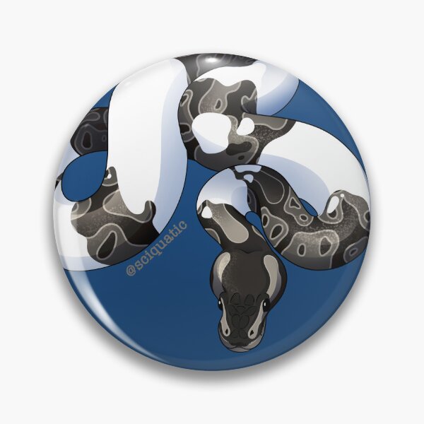 Item preview, Pied Axanthic Ball Python illustration by @Sciquatic designed and sold by Sciquatic-Arts.