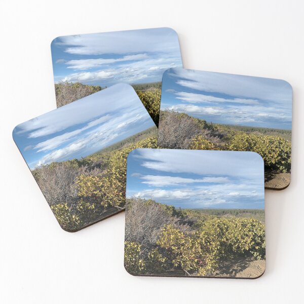 Item preview, Central Oregon designed and sold by EbionRae.