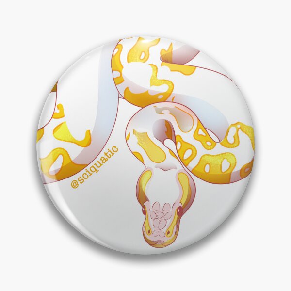Artikelvorschau, Illustration der gescheckten Albino-Kugelpython von @Sciquatic entworfen und verkauft von Sciquatic-Arts.