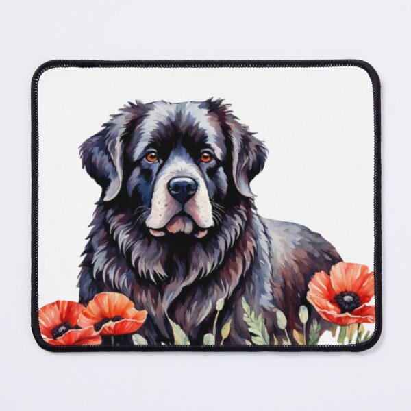 Item preview, Aesthetic designed and sold by AERIN_SHOP.