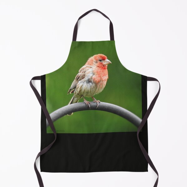 Item preview, House Finch designed and sold by Phoenixphoxes.