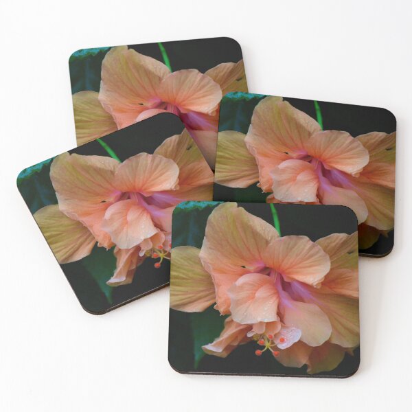 Item preview, Floración del hibisco del día lluvioso designed and sold by MercerImages.