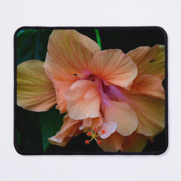 Item preview, Rainy Day Hibscus Bloom designed and sold by MercerImages.
