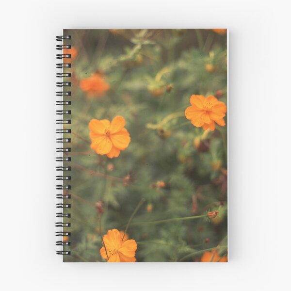 Item preview, Marigolds designed and sold by Olympus35.