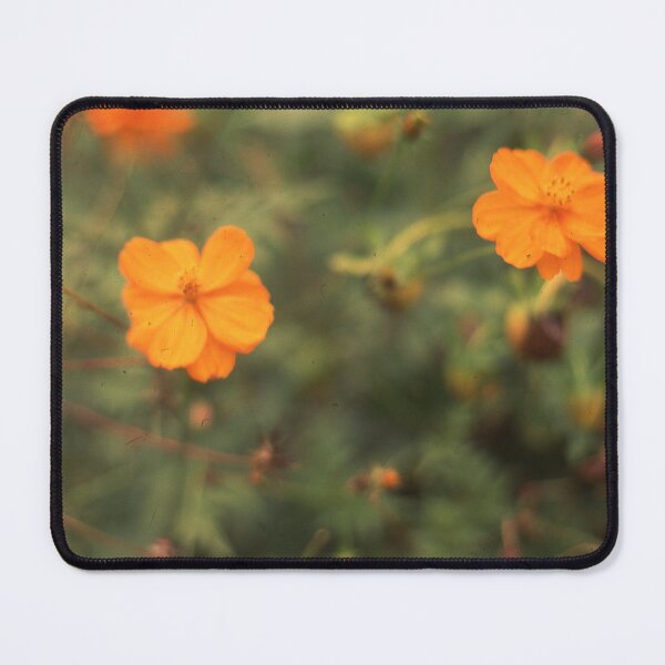 Item preview, Marigolds designed and sold by Olympus35.
