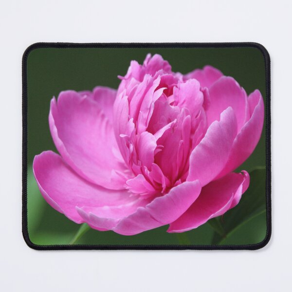 Item preview, Pink passion designed and sold by debfaraday.