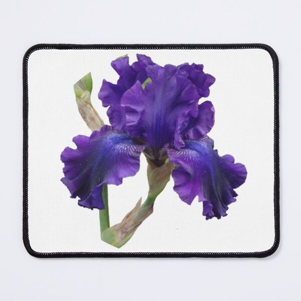 Item preview, Royal Purple Iris designed and sold by CarolBeeDesigns.