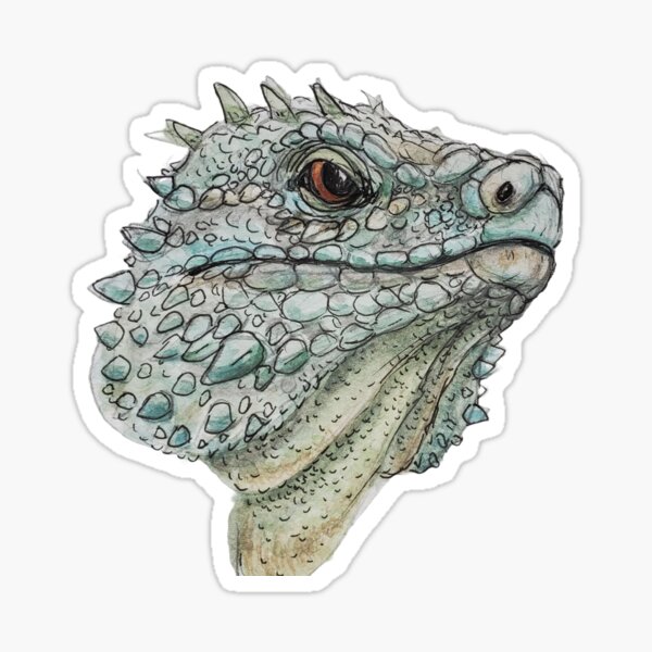 Item preview, Blue Guana designed and sold by ScruffyCrow.