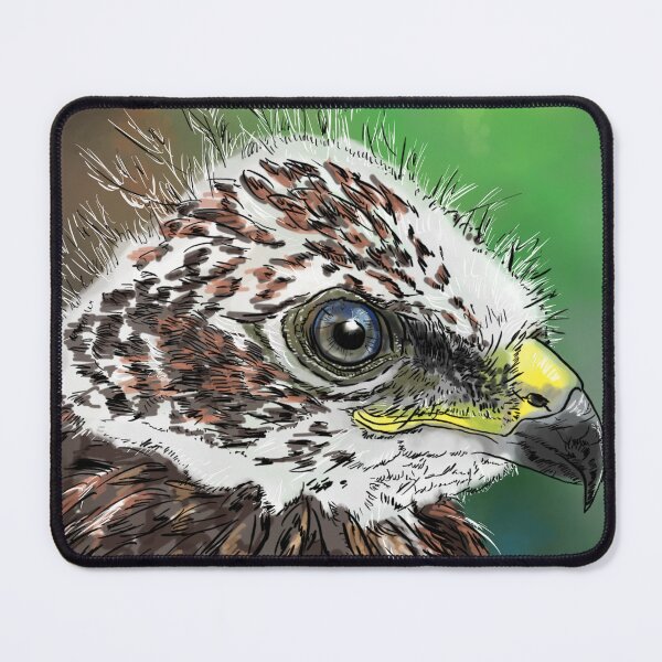 Item preview, common buzzard chick designed and sold by yaoyao-friends.