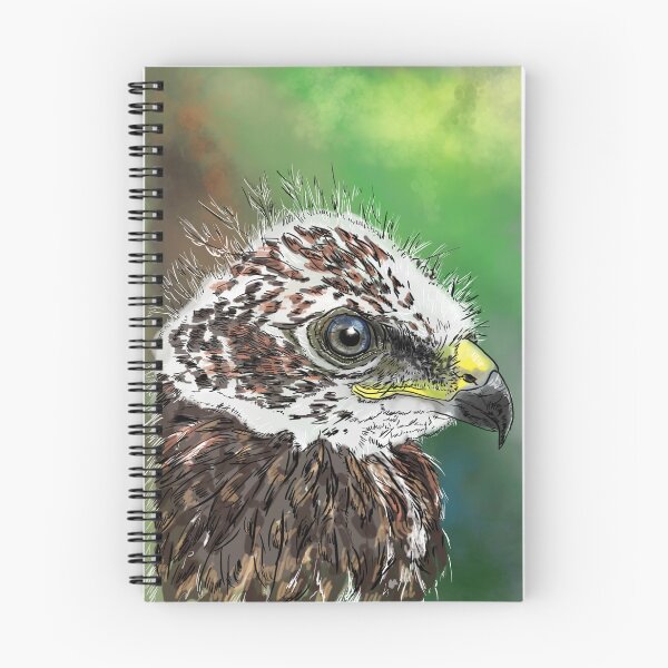 Item preview, common buzzard chick designed and sold by yaoyao-friends.