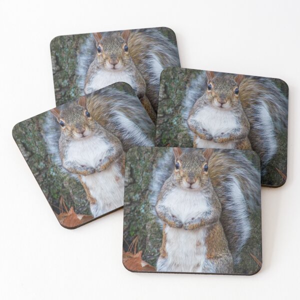 Item preview, Say Cheese designed and sold by Tim Dusenberry.