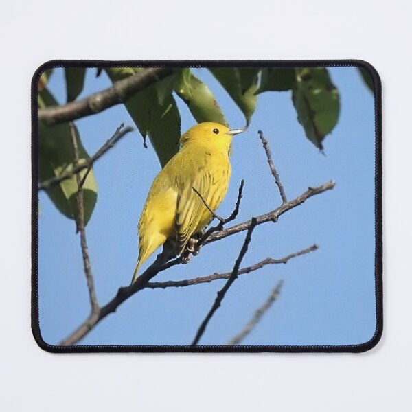 Item preview, Yellow Warbler designed and sold by Phoenixphoxes.
