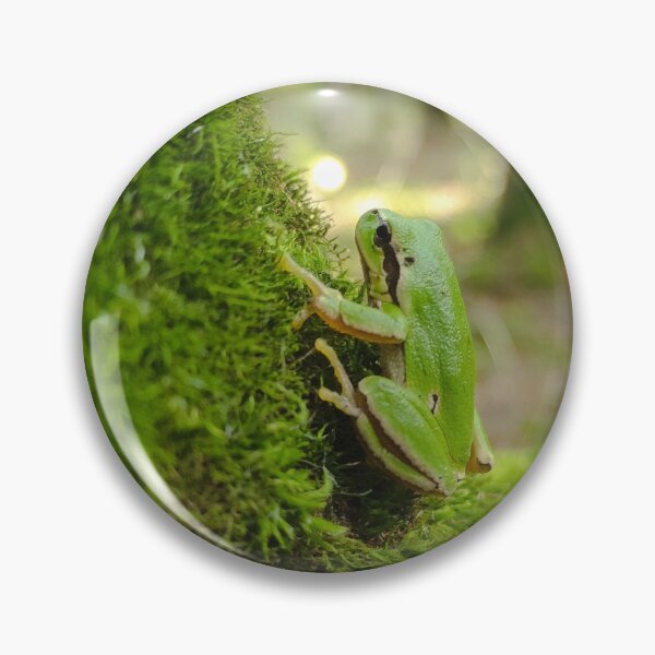 Item preview, Green frog designed and sold by art-pavvvuk.
