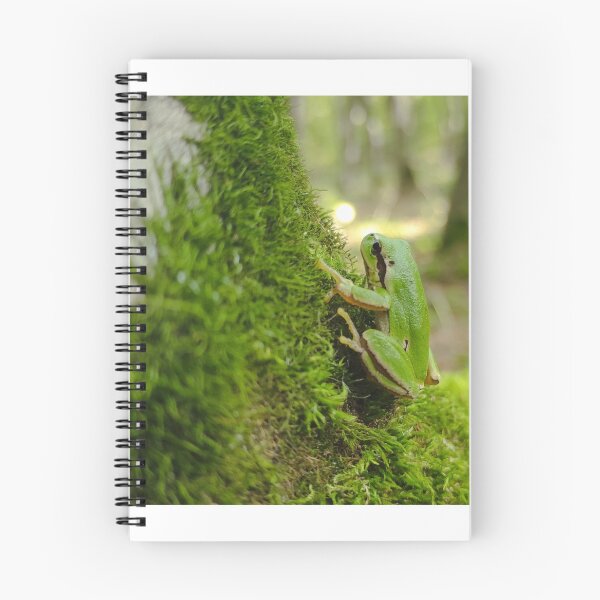 Item preview, Green frog designed and sold by art-pavvvuk.