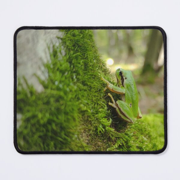 Item preview, Green frog designed and sold by art-pavvvuk.