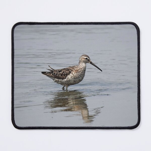 Item preview, White-rumped sandpiper designed and sold by Phoenixphoxes.