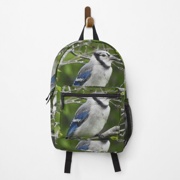 Item preview, Juvenile Blue Jay designed and sold by Phoenixphoxes.