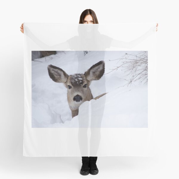 Doe in deep snow Scarf