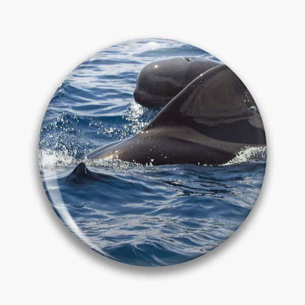 Item preview,  Female short-finned pilot whale, Globicephala macrorhynchus, with a calf designed and sold by Zosimus.