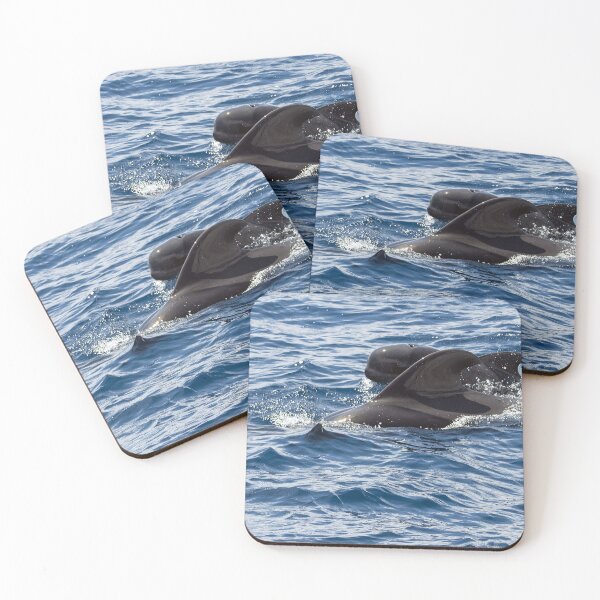 Item preview,  Female short-finned pilot whale, Globicephala macrorhynchus, with a calf designed and sold by Zosimus.