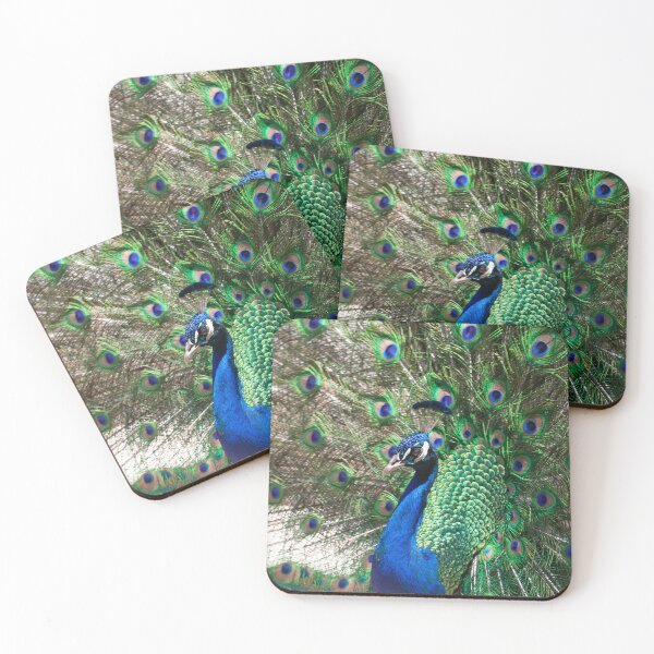 Item preview, Retrato de un macho mostrando pavo real indio, Pavo cristatus designed and sold by Zosimus.