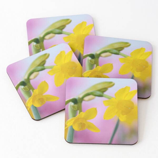 Item preview, Narcissus  'Little Oliver'   Division 7 Jonquilla  Daffodil  designed and sold by Chris Burrows.