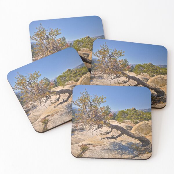 Item preview, Gnarly Tree designed and sold by outdoorstudio.