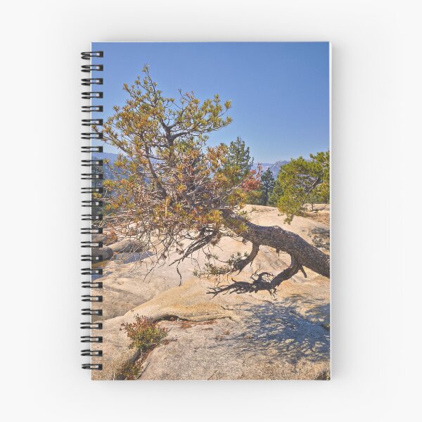 Item preview, Gnarly Tree designed and sold by outdoorstudio.