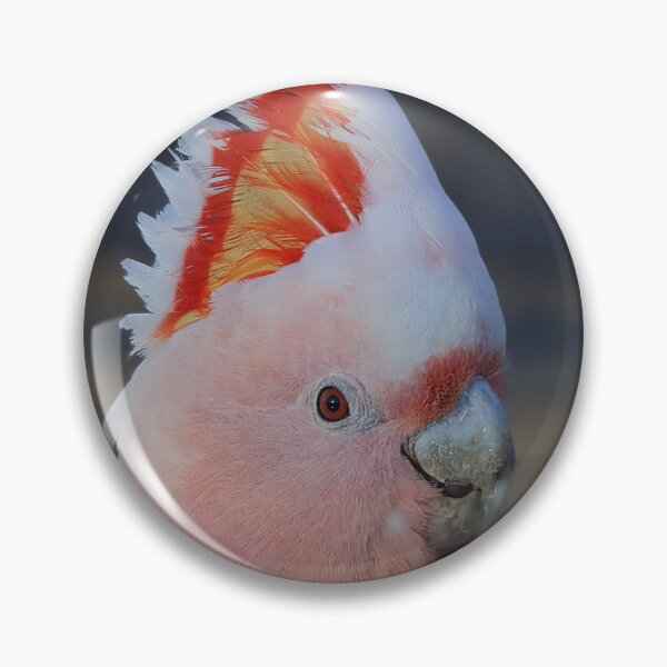 Item preview, Major Mitchell Cockatoo 1  designed and sold by Seesee.