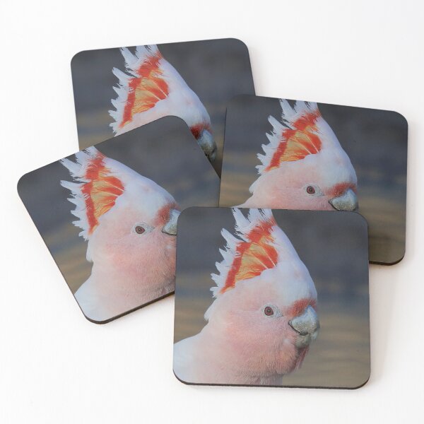 Item preview, Major Mitchell Cockatoo 1  designed and sold by Seesee.