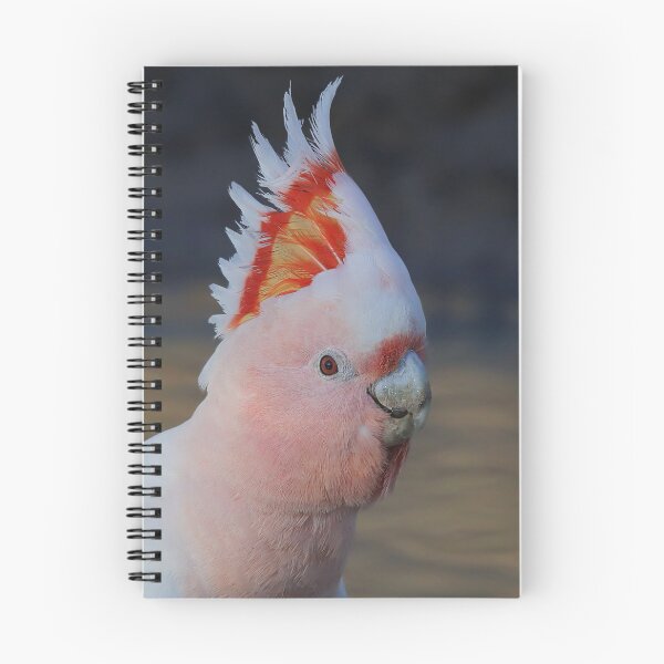 Item preview, Major Mitchell Cockatoo 1  designed and sold by Seesee.