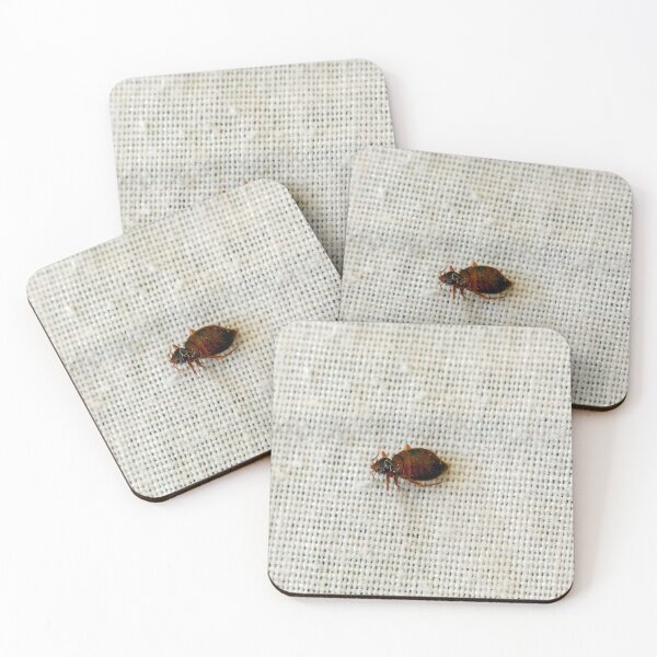Item preview, A bed bug, Cimex lectularius, on a bed sheet. designed and sold by Zosimus.