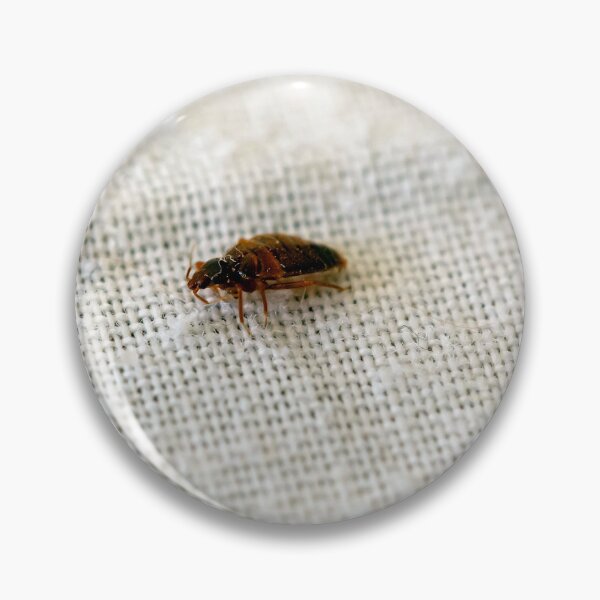 Item preview, Bed bug, Cimex lectularius, on a bed sheet designed and sold by Zosimus.