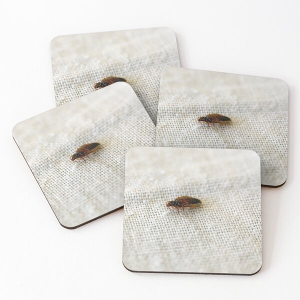 Item preview, Bed bug, Cimex lectularius, on a bed sheet designed and sold by Zosimus.