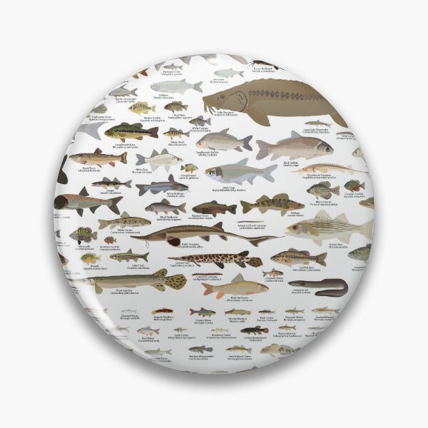 Item preview, Fishes of Iowa Poster designed and sold by andybirkey.