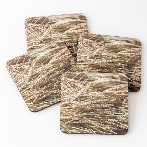 Item preview, Ears of finger millet, Eleusine coracana, after harvest designed and sold by Zosimus.