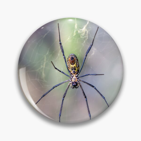 Item preview, Hairy golden orb weaver, Trichonephila fenestrata, on the net designed and sold by Zosimus.