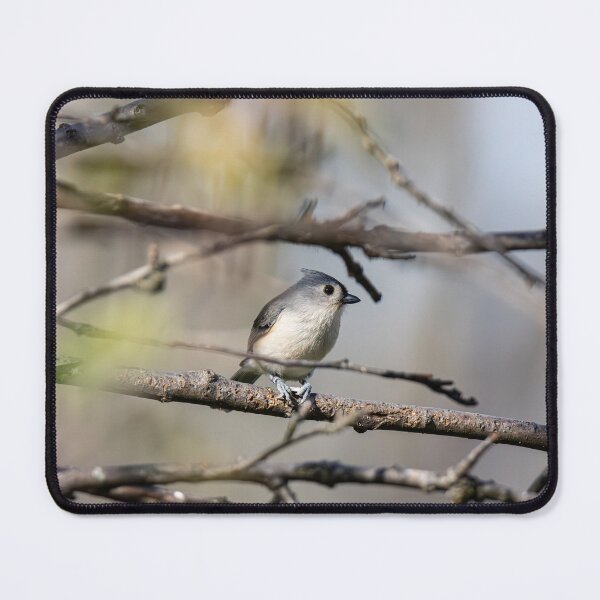 Item preview, Little Bird designed and sold by SkyeNotions.