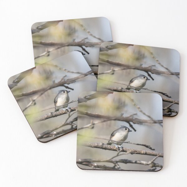 Item preview, Little Bird designed and sold by SkyeNotions.