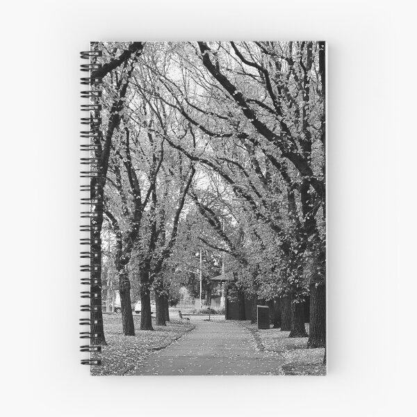 Item preview, Elm Tree in Black and White designed and sold by Kim Chi Thai.