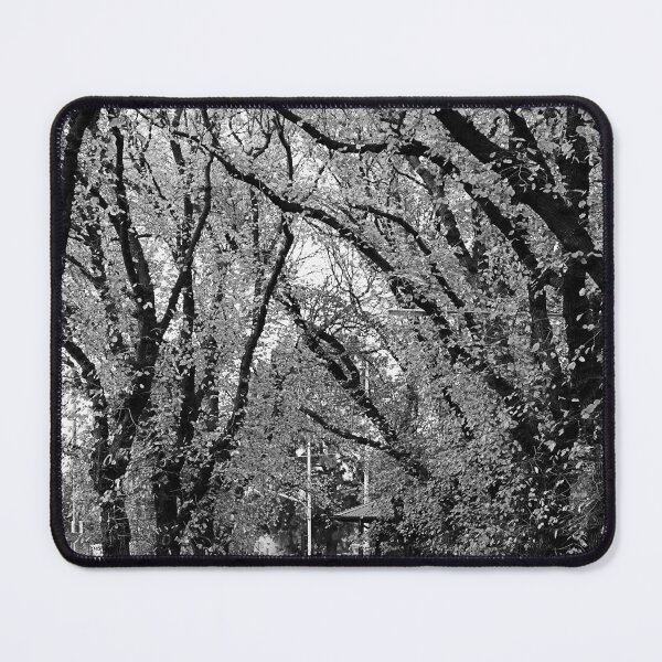 Item preview, Elm Tree in Black and White designed and sold by Kim Chi Thai.