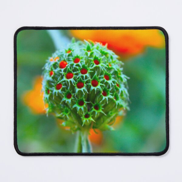 Item preview, Ilumina designed and sold by equilibrio.