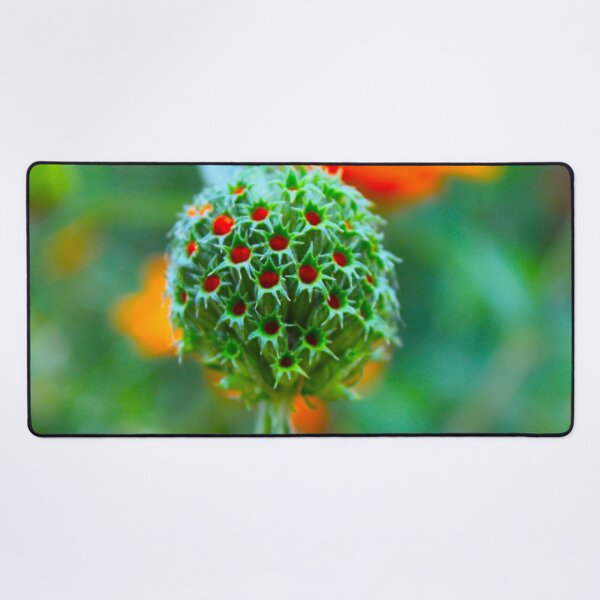Item preview, Ilumina designed and sold by equilibrio.