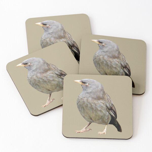 Item preview, Babbler Bird designed and sold by RainbowSpinkle.
