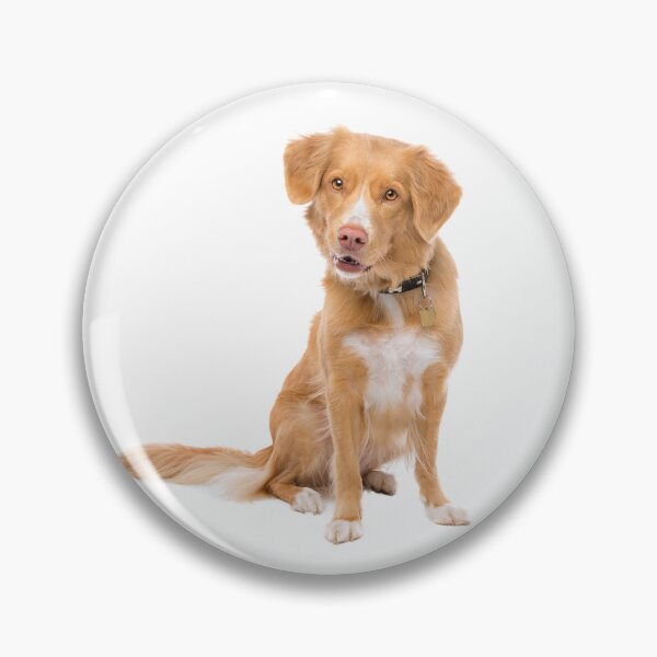 Item preview, Nova Scotia Duck Tolling Retriever designed and sold by shoppnow1.