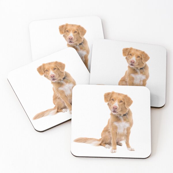 Item preview, Nova Scotia Duck Tolling Retriever designed and sold by shoppnow1.