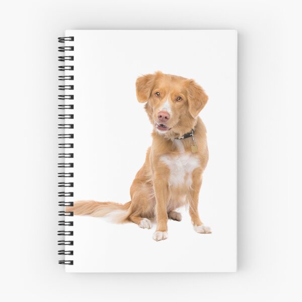 Item preview, Nova Scotia Duck Tolling Retriever designed and sold by shoppnow1.