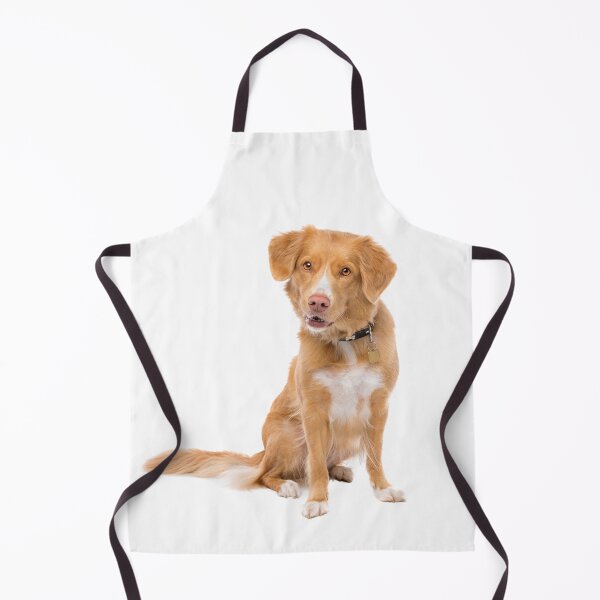 Item preview, Nova Scotia Duck Tolling Retriever designed and sold by shoppnow1.