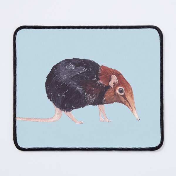 Item preview, BLACK AND RUFOUS ELEPHANT SHREW-Rhynchocyon petersi designed and sold by BEATRIZ ABAITUA.