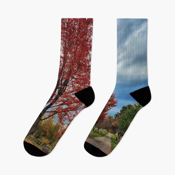Item preview, Mortality Beckons - Abandoned Autumn Cemetery Landscape designed and sold by TwistedP-Photos.